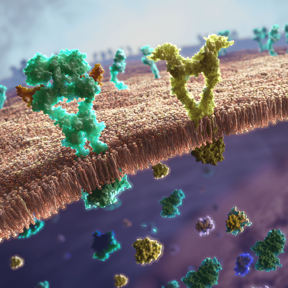 A Focus On ALK-positive Non-small Cell Lung Cancer