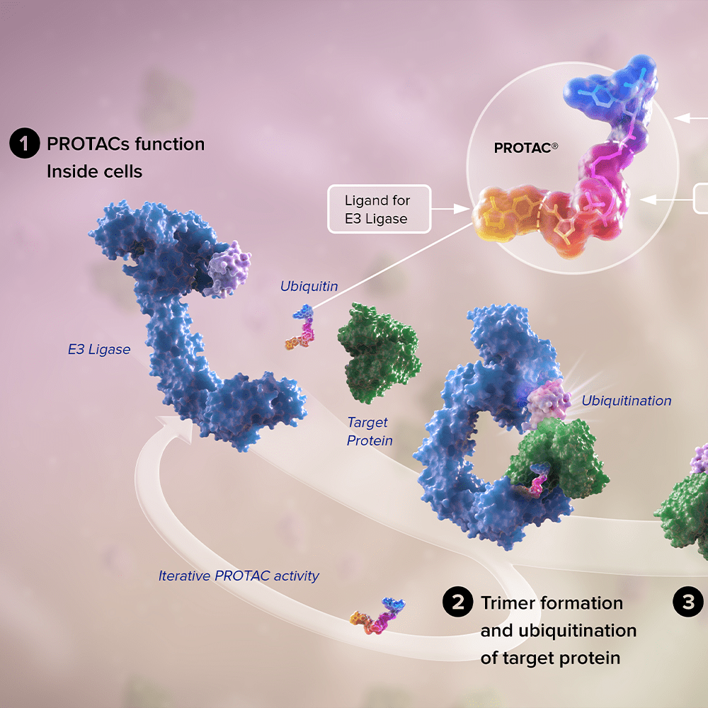 PROTAC™ PLATFORM