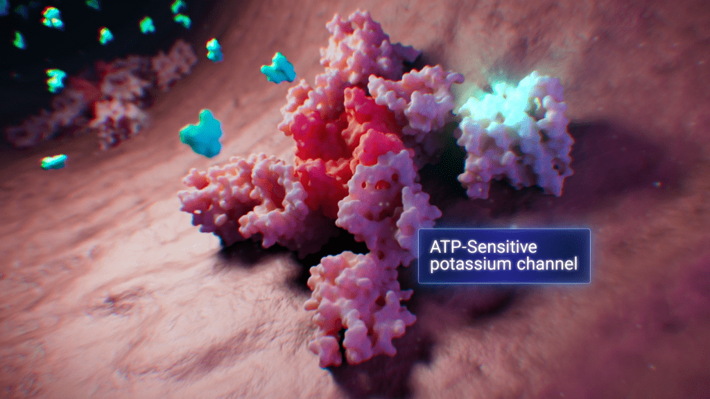 ATP-sensitive potassium channel 3d illustration