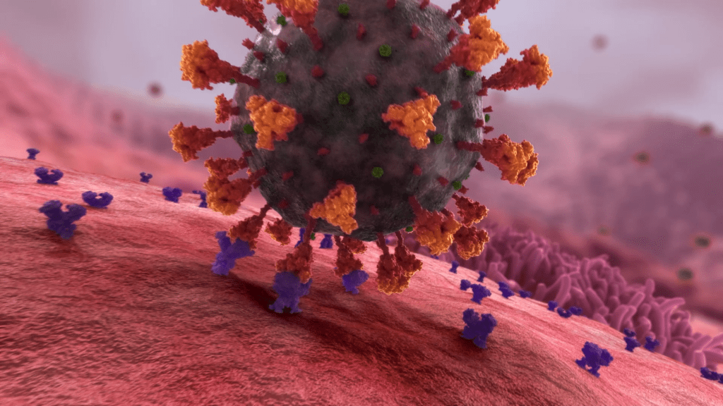 Illustration of a virus with red, spiky surface proteins attaching to a pinkish, textured surface, representing a biological interaction. The orange and purple spikes subtly highlight how vaccines work by showcasing the complex mechanism behind mRNA vaccine development.