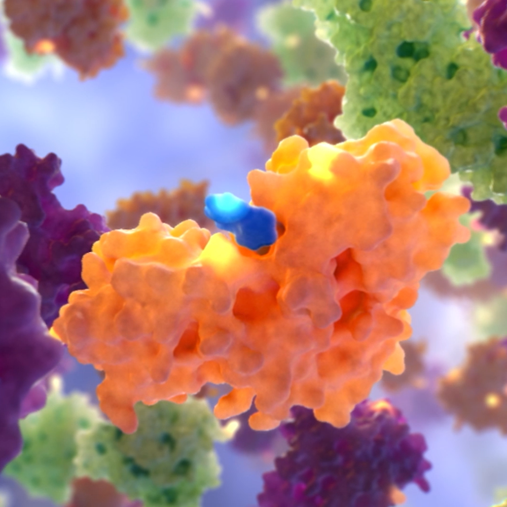 Vividion Targeted Protein Therapeutic Animation
