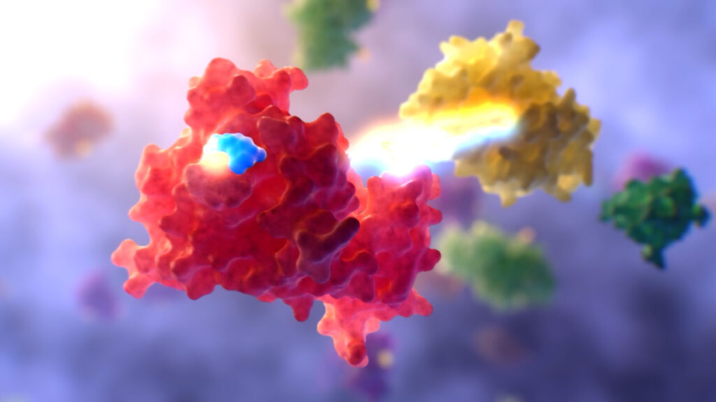 covalent bonds