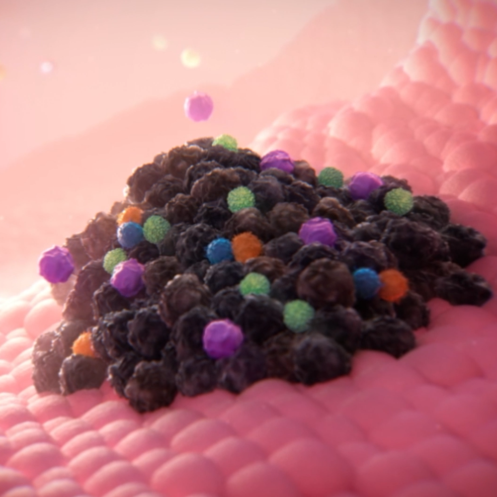 Ociperlimab MOA Animation