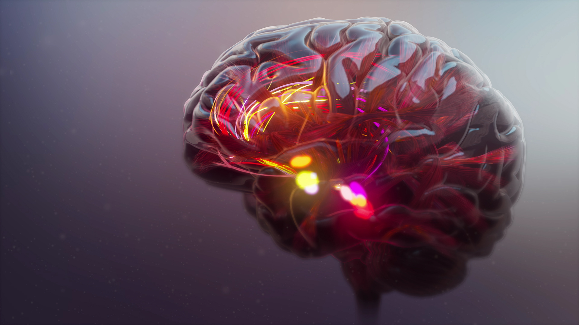 A digital illustration of a human brain with colorful, glowing neural pathways. Red, yellow, and orange lights highlight active areas, against a dark, blurred background. The image conveys a sense of complexity and connectivity.