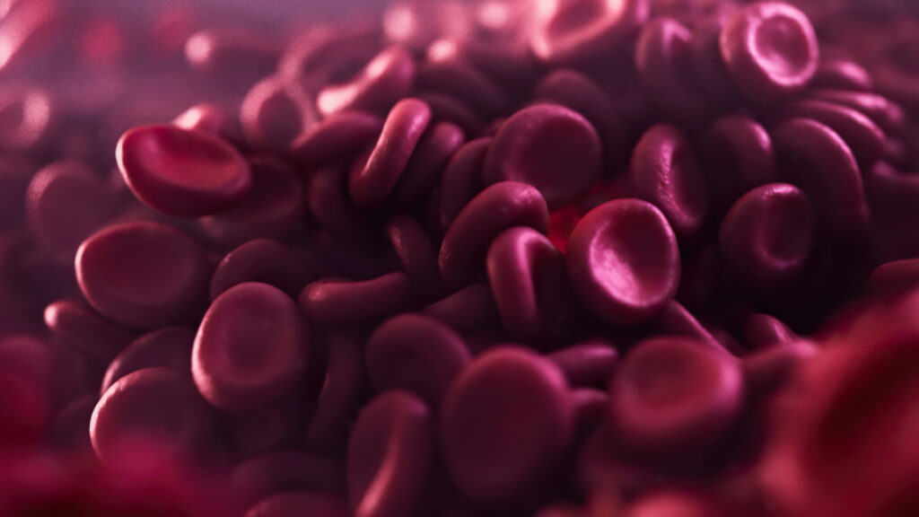 red blood cells