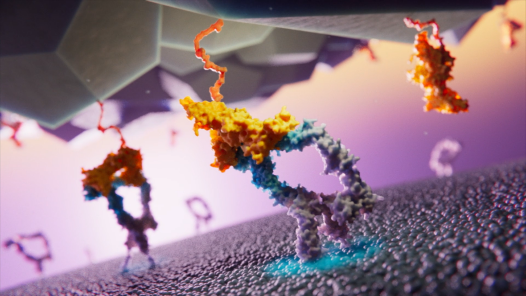 Anchored Immunotherapy MOA