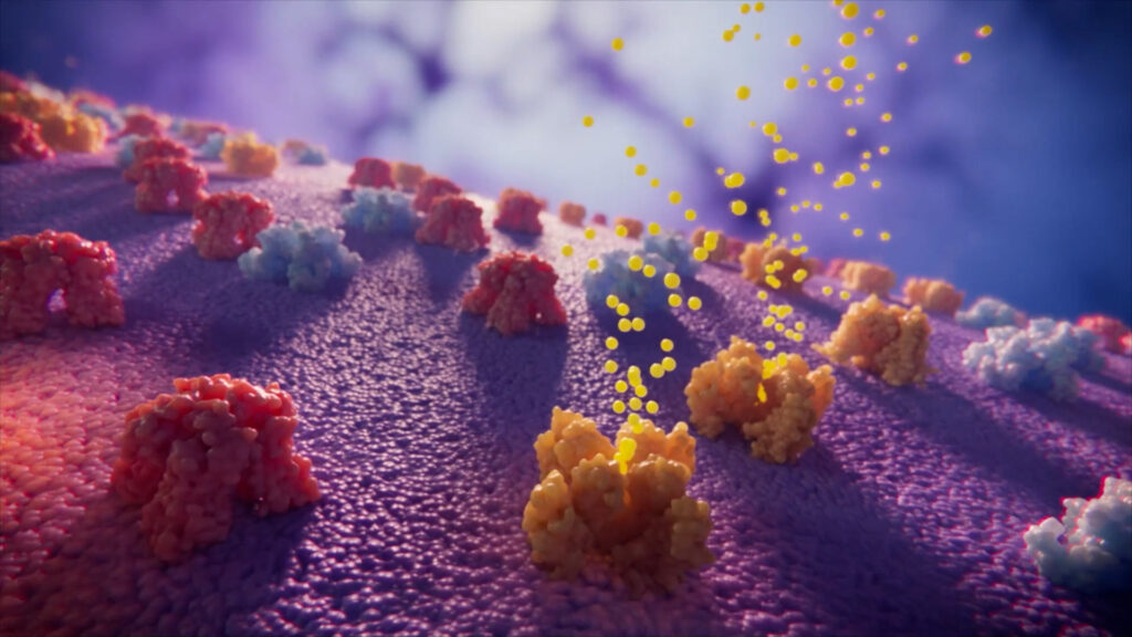 ion channels in nerve membrane