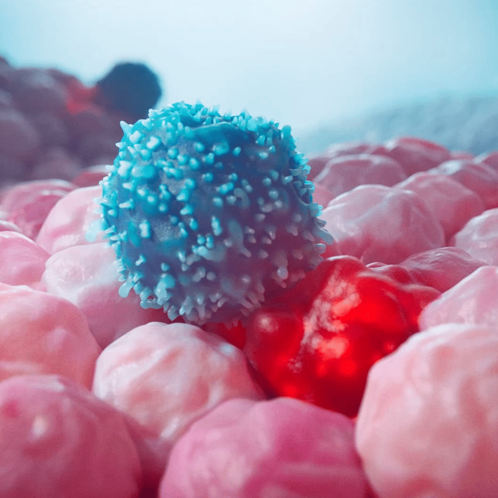 mRNAs as Medicines Animation