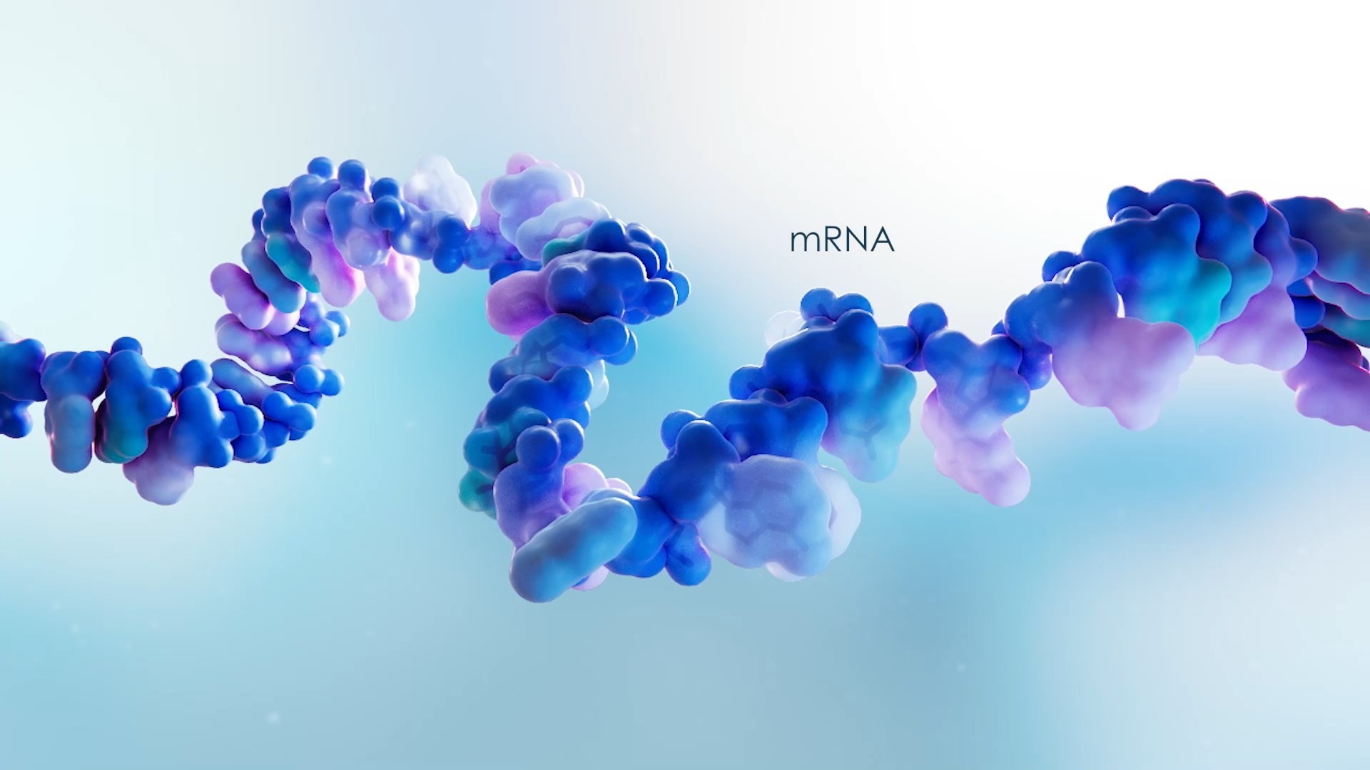 mRNA Structure