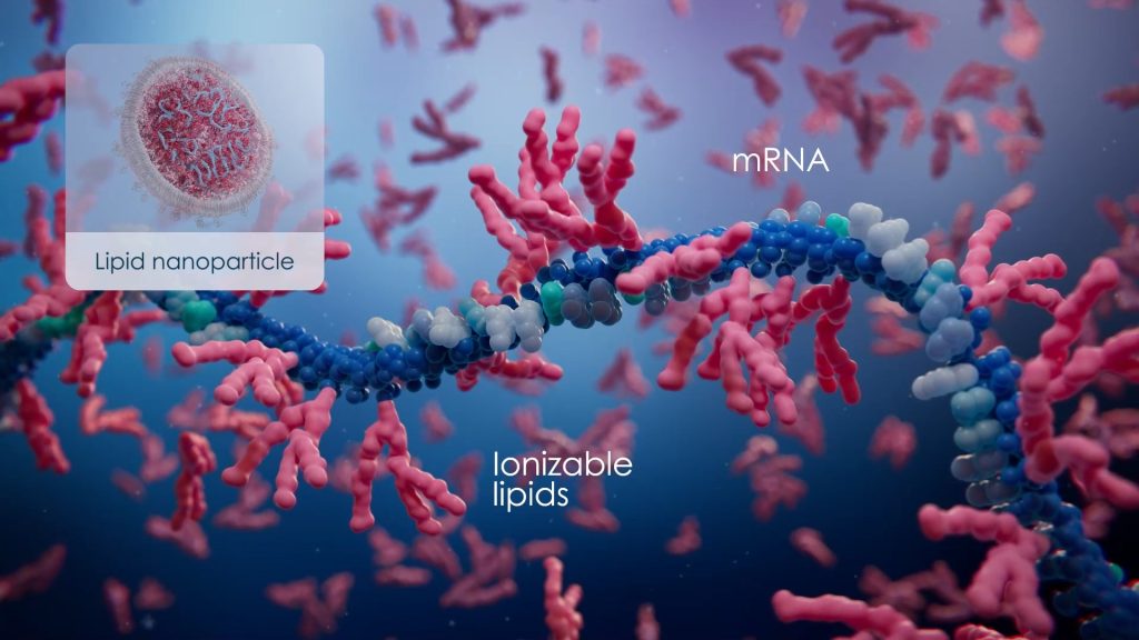 Ionizable Lipids Coat mRNA