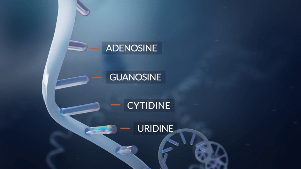 RNA editing