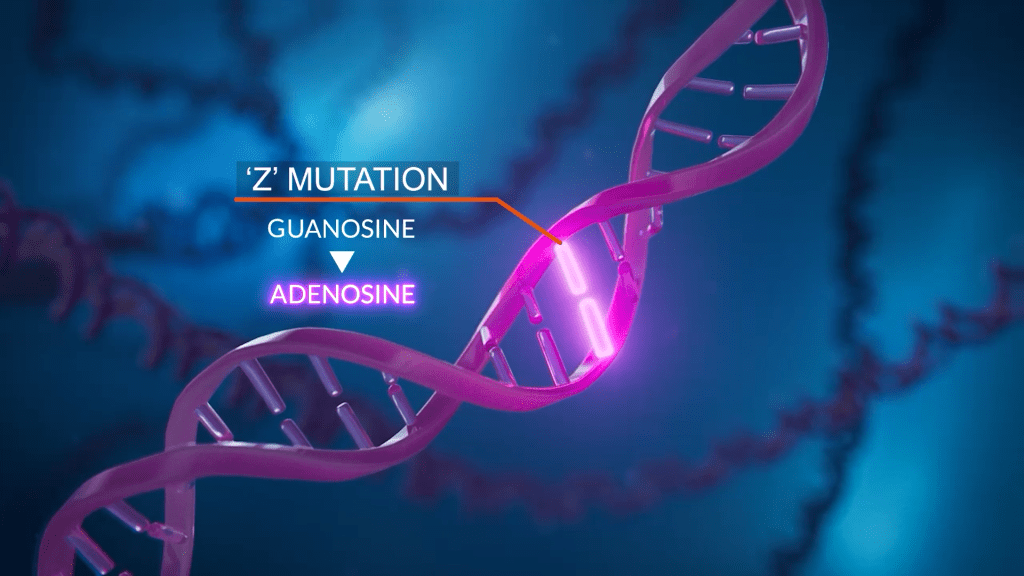 DNA mutation