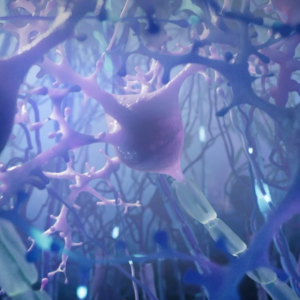 Neurology Animation